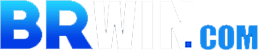 logo brwin